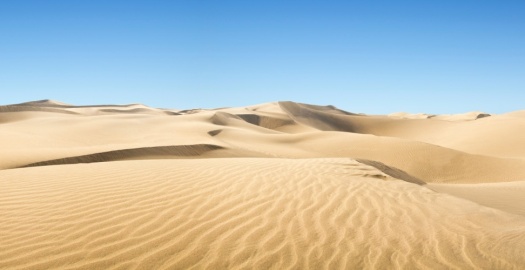 image article