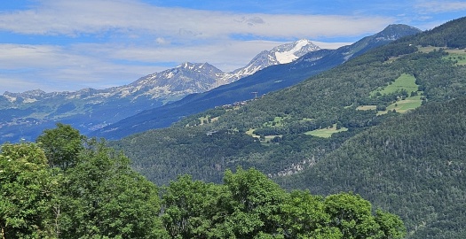 image article
